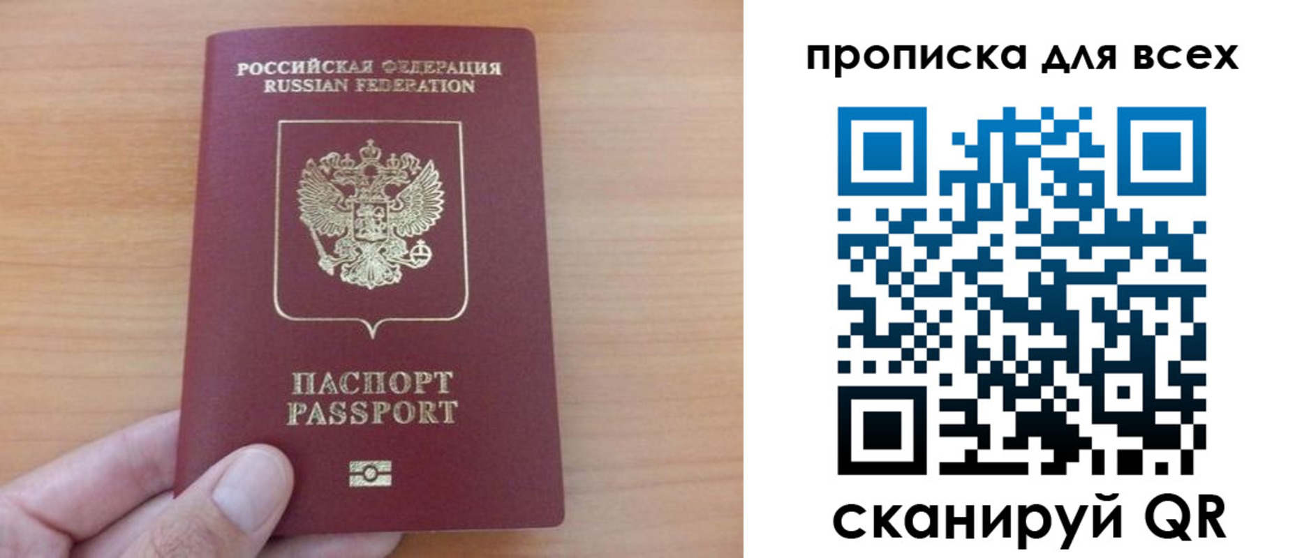 прописка поиск в Курчатове